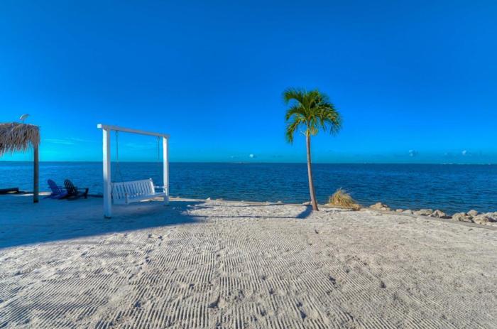 441-Waterfront, Amazing Views, Wifi, Pool And Close To Bucs Stadium تامبا المظهر الخارجي الصورة